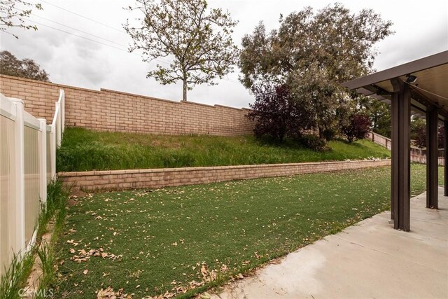 view of yard featuring a patio area