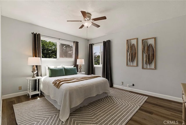 2240 Notre Dame Blvd Unit 6, Chico, CA 95928 - bedroom with multiple windows, baseboards, dark wood finished floors, and a ceiling fan