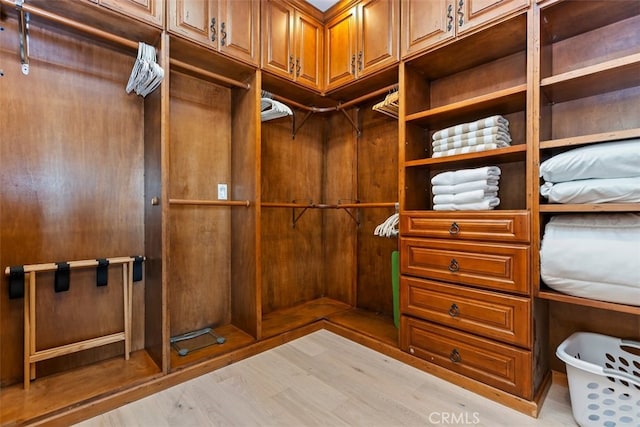 40125 Camino Del Vino, Temecula, CA 92592 - walk in closet with wood finished floors
