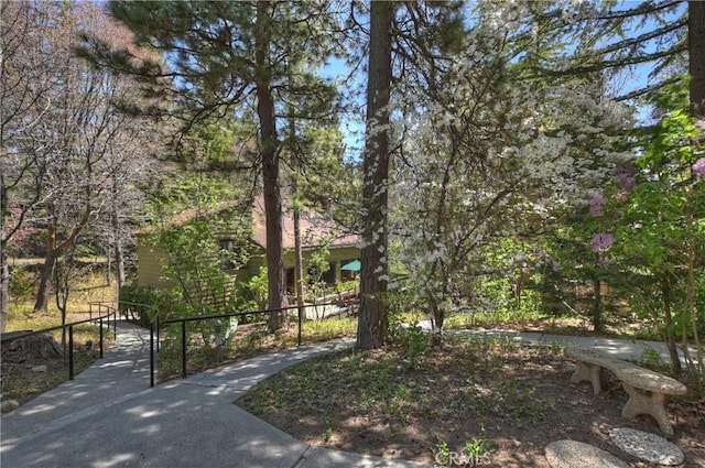 27657 Peninsula Dr, Lake Arrowhead, CA 92352 - view of yard