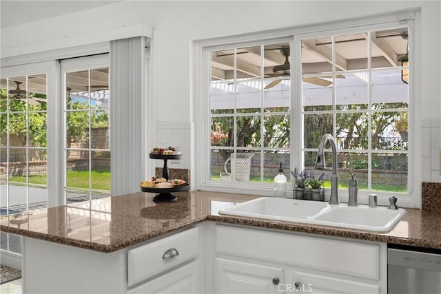 kitchen with a sink, stainless steel dishwasher, a ceiling fan, and healthy amount of natural light