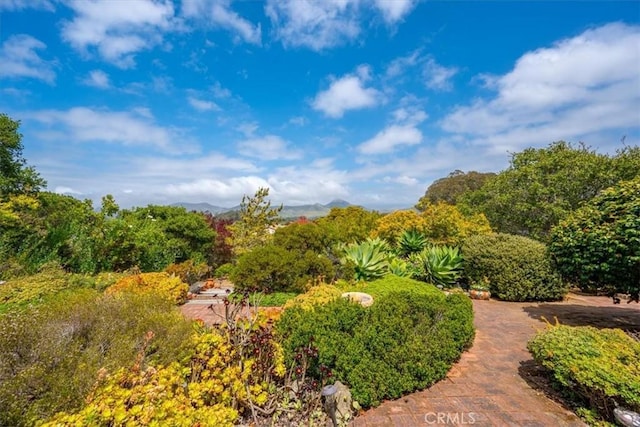 1264 Vista Del Osos, Los Osos, CA 93402 - view of property's community featuring a mountain view