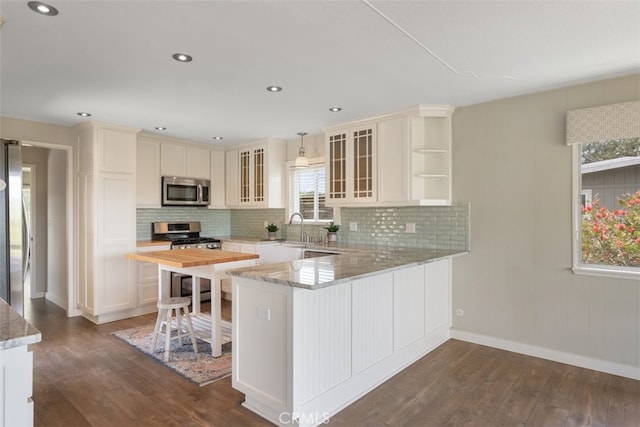 1264 Vista Del Osos, Los Osos, CA 93402 - kitchen featuring stainless steel appliances, plenty of natural light, baseboards, dark wood-style flooring, and recessed lighting