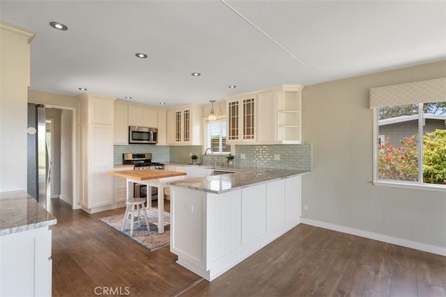 1264 Vista Del Osos, Los Osos, CA 93402 - kitchen featuring stainless steel appliances, healthy amount of natural light, dark wood-type flooring, and recessed lighting