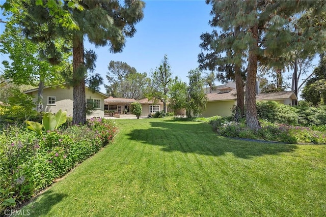 view of grassy yard