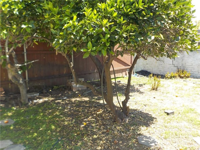 2698 Fremontia Dr, San Bernardino, CA 92404 - view of yard with fence