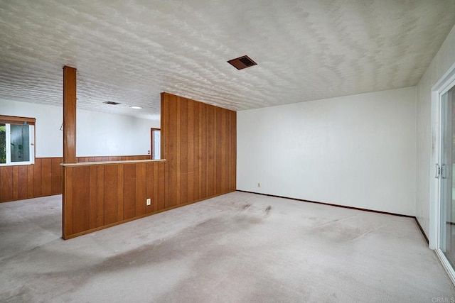 spare room with wood walls, carpet floors, a textured ceiling, and a wainscoted wall