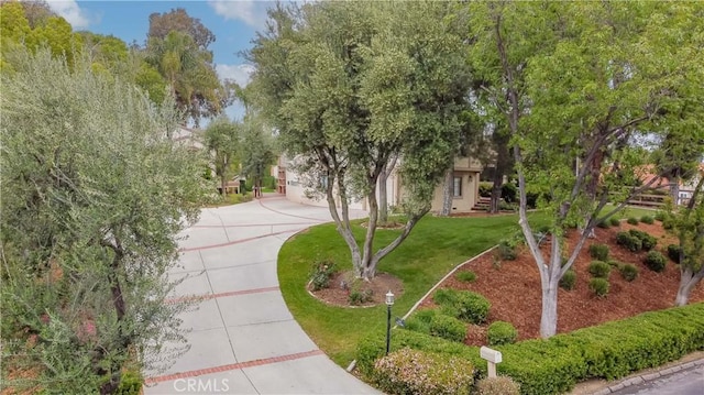 view of home's community featuring driveway and a yard