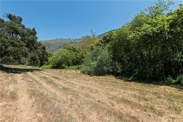 4691 Tepusquet Rd, Santa Maria, CA 93454 - photo 43