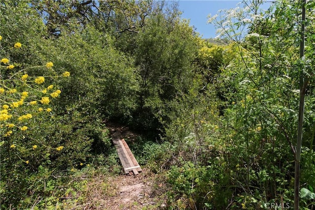 4691 Tepusquet Rd, Santa Maria, CA 93454 - photo 42