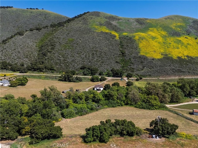 4691 Tepusquet Rd, Santa Maria, CA 93454 - photo 46