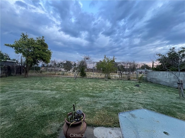 527 E King St, Rialto, CA 92376 - view of yard