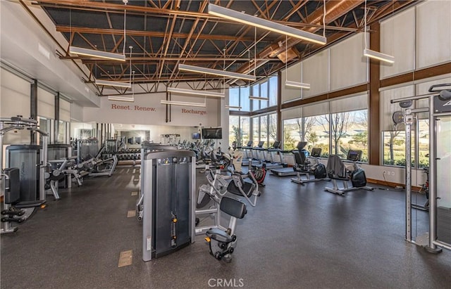 1559 Lismore Ln, Beaumont, CA 92223 - gym with a towering ceiling