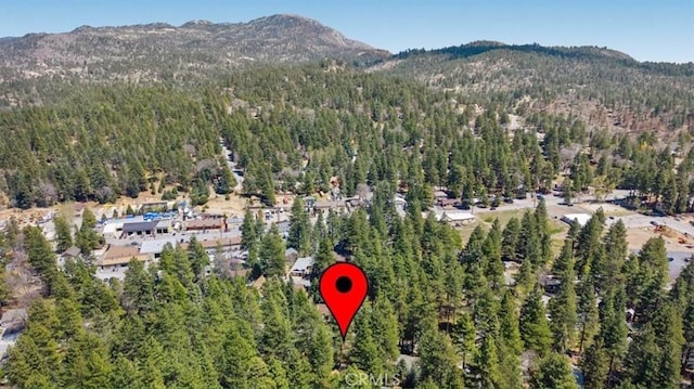 aerial view of property and surrounding area with a heavily wooded area and a mountain backdrop