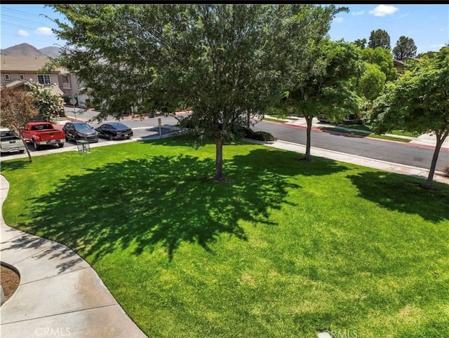 3818 Coastal St, Riverside, CA 92501 - view of grassy yard