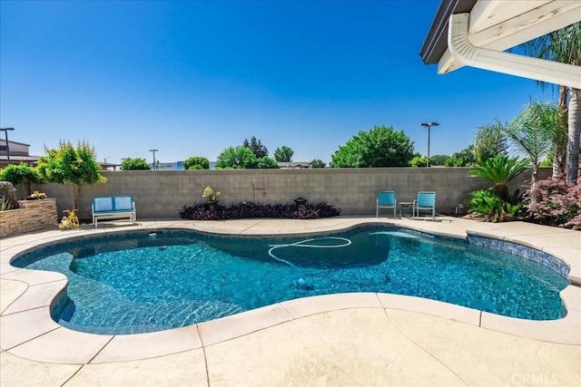 1995 E Valley Forge Ave, Tulare, CA 93274 - view of pool with a fenced backyard and a patio
