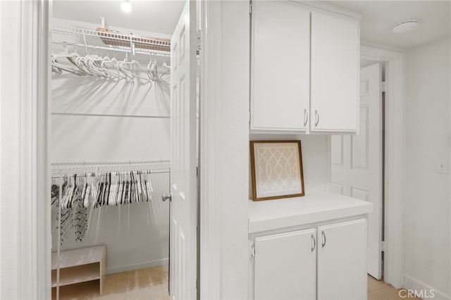 view of spacious closet