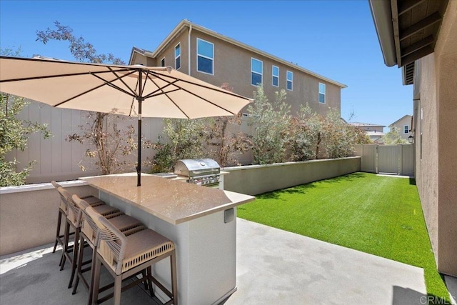 940 Lindbergh Dr, San Marcos, CA 92069 - fenced backyard featuring an outdoor bar, a patio area, and area for grilling