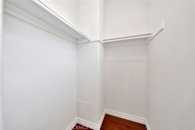 walk in closet featuring wood finished floors