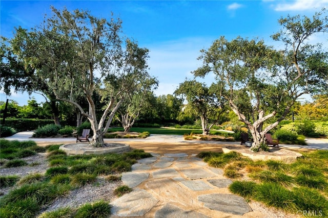 view of property's community with view of scattered trees