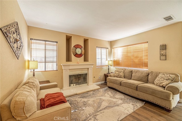 living room featuring wood finished floors and a glass covered fireplace