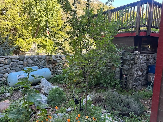 30 Bear Dr, Mt Baldy, CA 91759 - view of yard