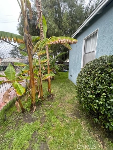 6705 Denny Ave, North Hollywood, CA 91606 - view of green lawn