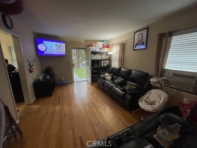 6705 Denny Ave, North Hollywood, CA 91606 - living room with light wood-style flooring
