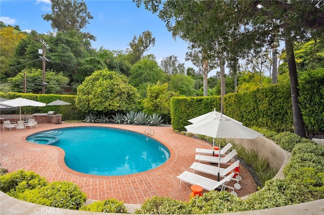 3818 Hollyline Ave, Sherman Oaks, CA 91423 - view of pool with a patio, a pool with connected hot tub, and view of scattered trees