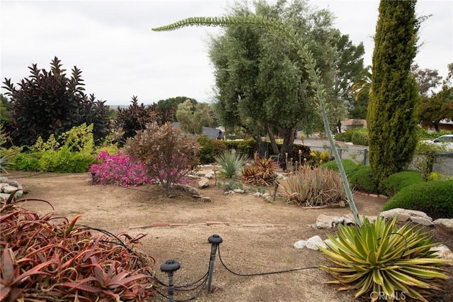 11543 Tulane Ave, Riverside, CA 92507 - photo 5