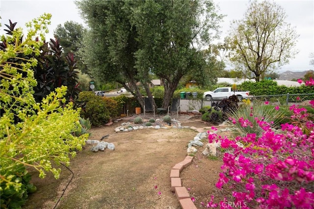 11543 Tulane Ave, Riverside, CA 92507 - photo 6