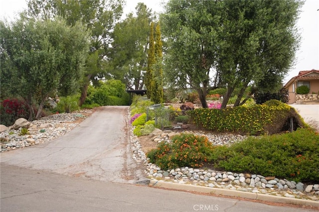 11543 Tulane Ave, Riverside, CA 92507 - photo 34