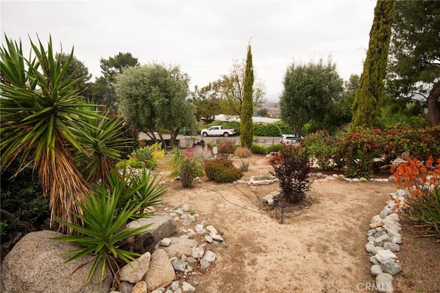 11543 Tulane Ave, Riverside, CA 92507 - photo 33