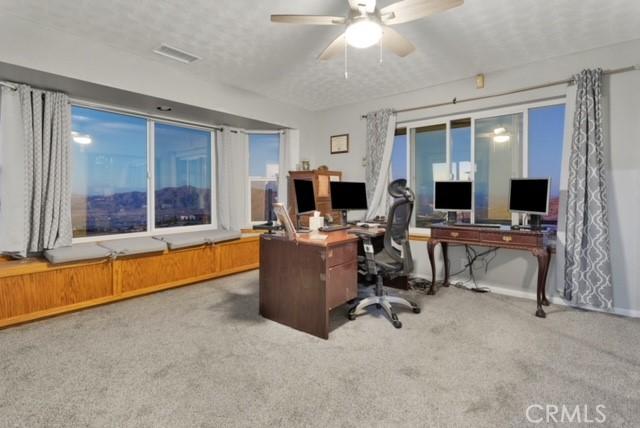 25624 Castlerock Rd, Apple Valley, CA 92308 - home office with carpet floors, ceiling fan, and baseboards