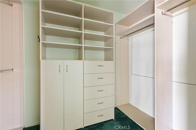 537 Avenida Buenos Aires, San Clemente, CA 92672 - spacious closet featuring dark colored carpet