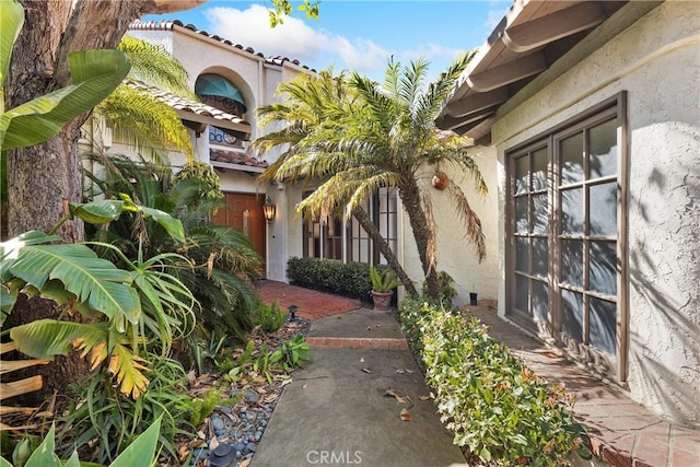 537 Avenida Buenos Aires, San Clemente, CA 92672 - doorway to property with stucco siding