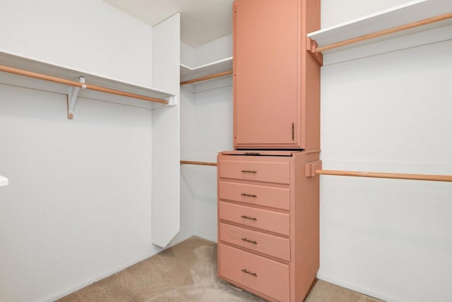 spacious closet featuring light colored carpet