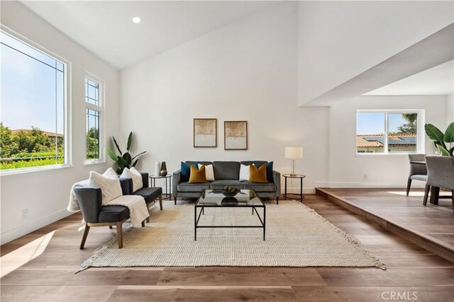 529 Manzanita Rd, Redlands, CA 92373 - living room featuring high vaulted ceiling, baseboards, and wood finished floors