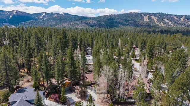drone / aerial view of a forest and mountains