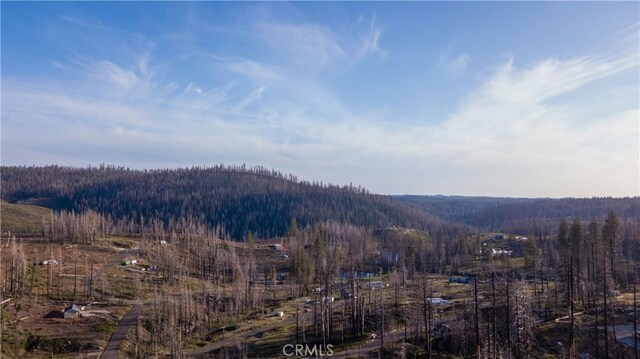 4908 Deerwood Ct, Grizzly Flats, CA 95636 - photo 50