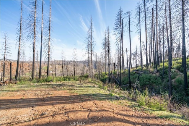 4908 Deerwood Ct, Grizzly Flats, CA 95636 - photo 51