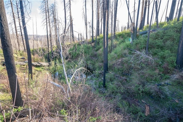 4908 Deerwood Ct, Grizzly Flats, CA 95636 - photo 49