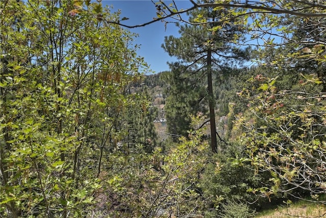 27757 N Bay Rd, Lake Arrowhead, CA 92352 - view of woods
