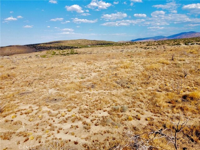 13 Longview Rd, Pearblossom, CA 93553