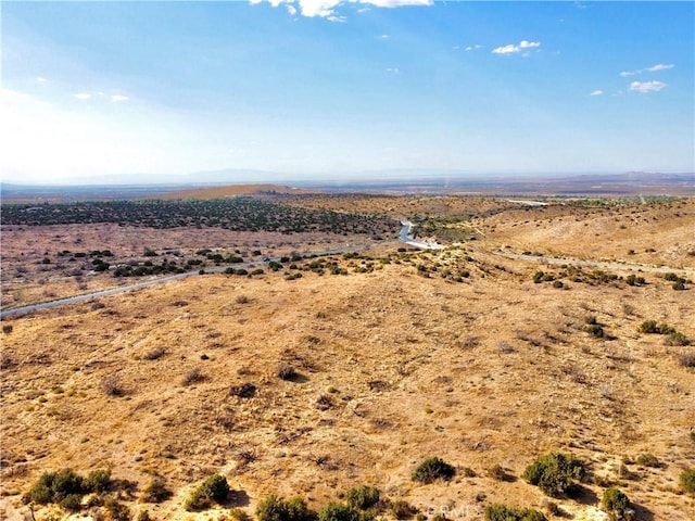 13 Longview Rd, Pearblossom, CA 93553
