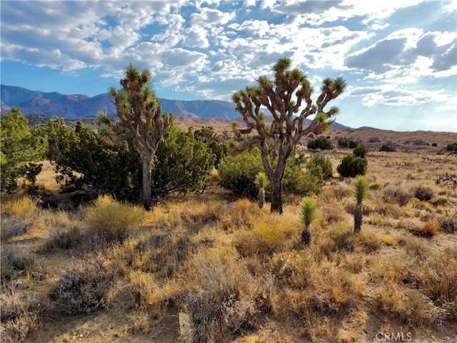 13 Longview Rd, Pearblossom, CA 93553