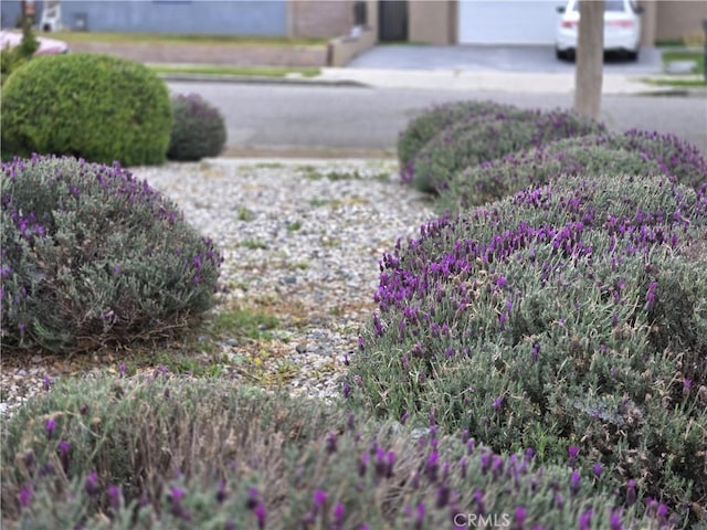 2149 Clover St, Simi Valley, CA 93065 - view of yard