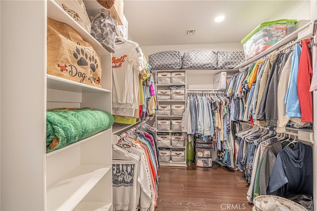 spacious closet featuring wood finished floors