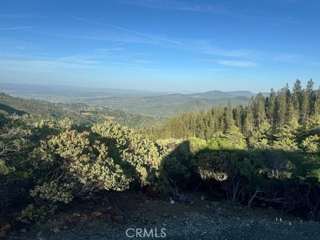 12125 Dry Creek Rd, Middletown, CA 95461 - photo 16