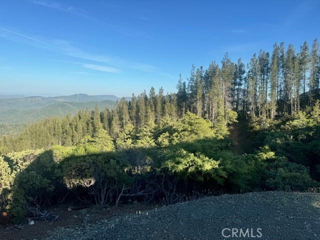 12125 Dry Creek Rd, Middletown, CA 95461 - photo 17